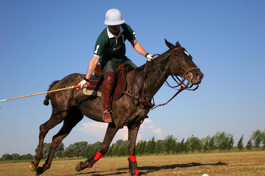 joueur de polo en argentine