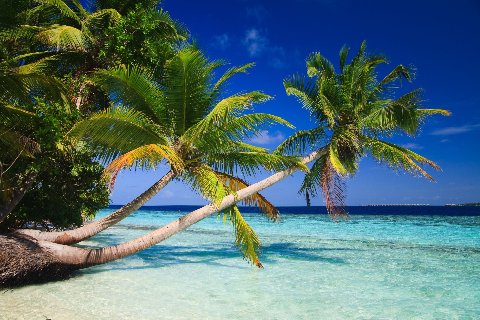 Etihad_-_Maldives