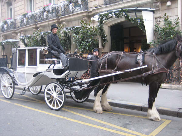 Calèche avec attelage noir devant le lancaster, Paris