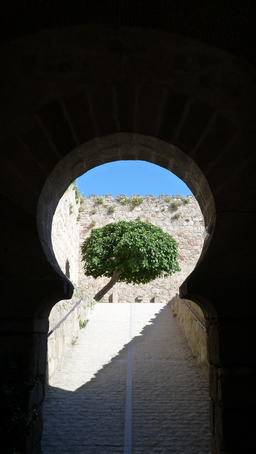 P10000280