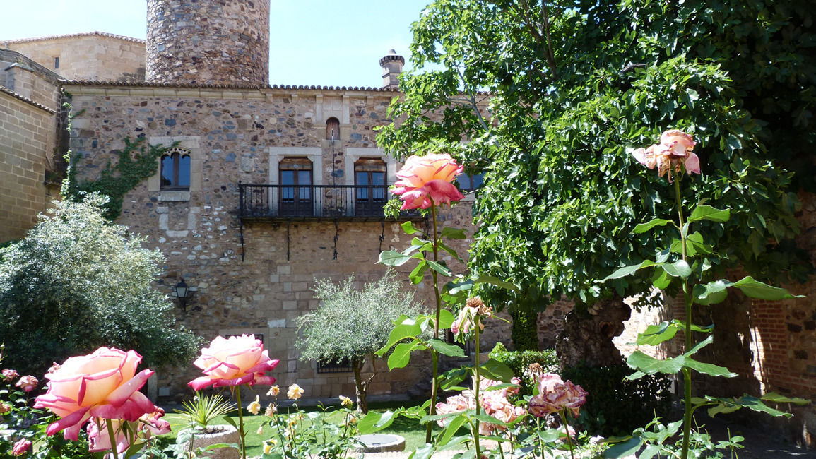 P10000650