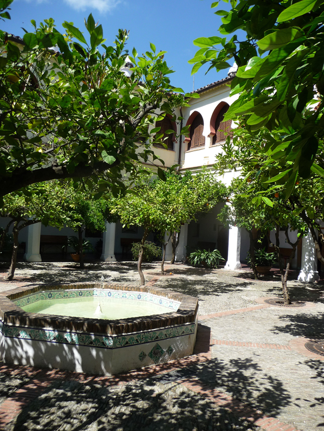 P10500660