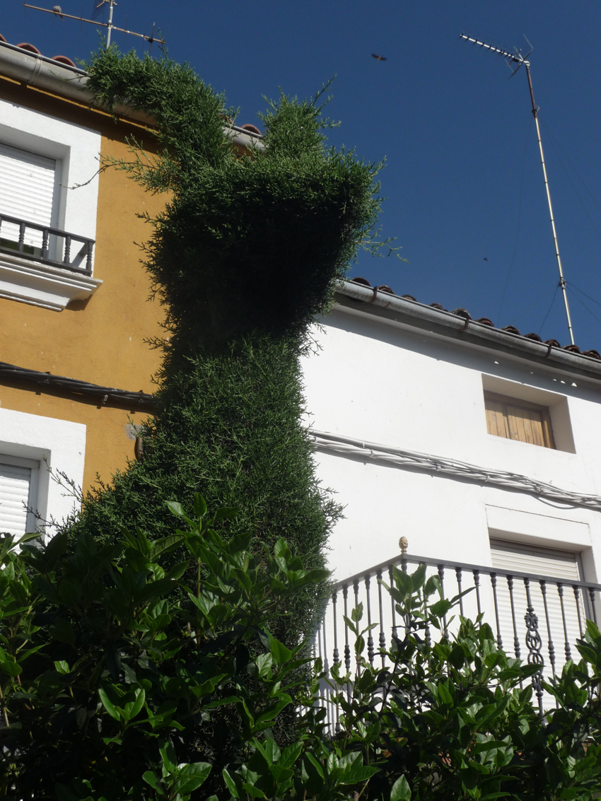 P10501830