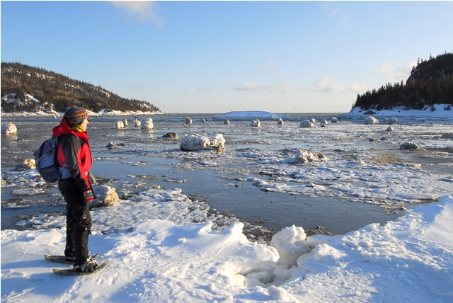 Raquette dans le parc national du Bic, quebec maritime