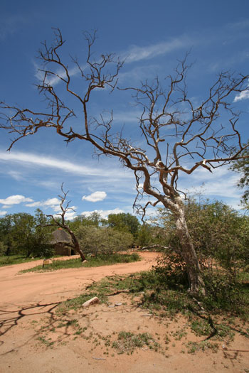 AVENTURIA---paysage-kenyan