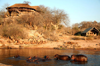 tanzanie-with-hippos