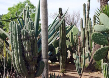 Mexique : vive le tourisme vert !