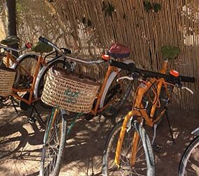 Au Maroc, les engagements de la fondation TUI