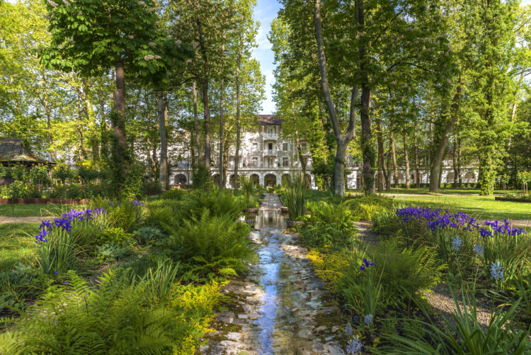 Jardin d'iris bleus du Relais & Château Les Prés d'Eugénie, dans les Landes