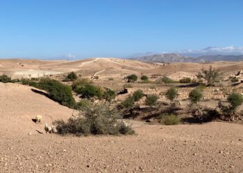 AU COEUR D'UN VOYAGE D'EXCEPTION