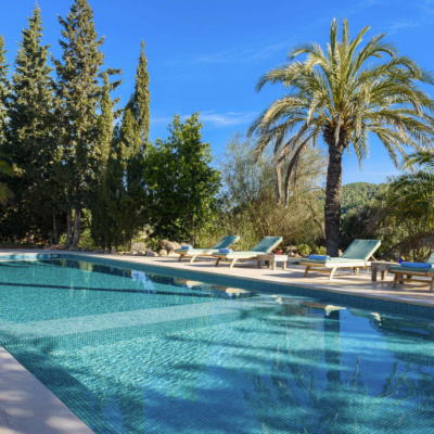 Une longue piscine à l'eau turquoise entourée de palmiers, de cyprès et de pins maritimes
