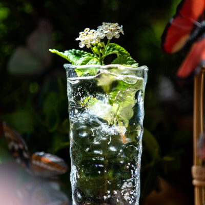 Un cocktail signature du Nikki Beach St Tropez avec des fleurs blanches dans un verre transparent