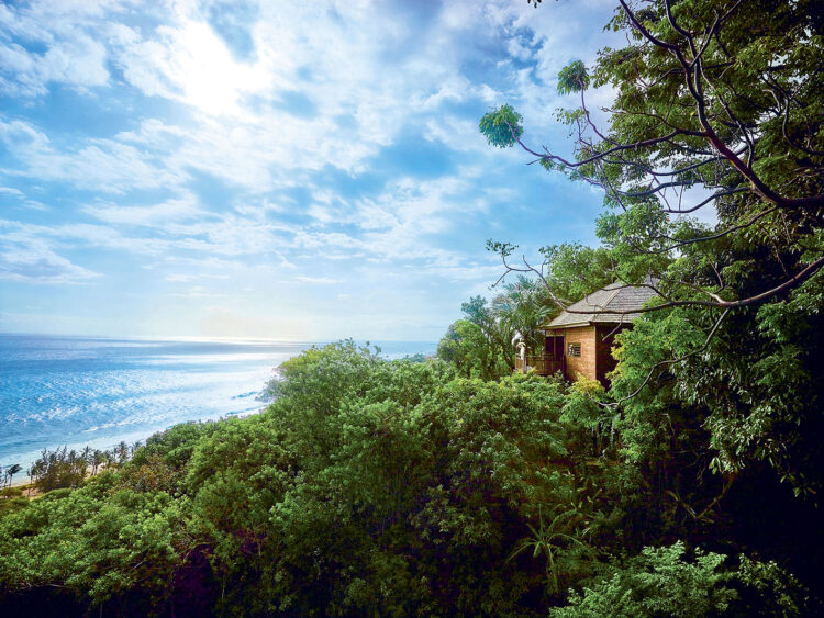 Une villa en bois perchée dans les arbres, au Palm Hotel & Spa à La Réunion