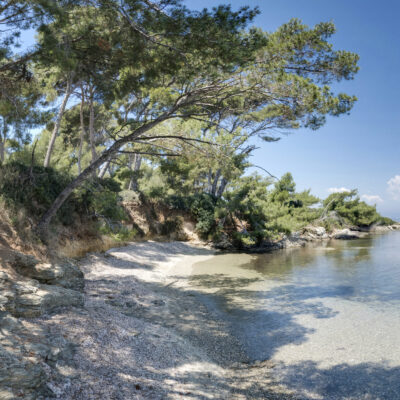 Une petite plage de sable clair bordée de tamaris et de pins maritimes, sur l'île des Embiez