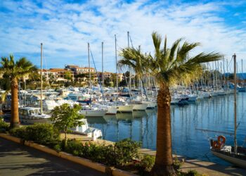 Vue du port de l'île des Embiez avec des palmiers le long du quai et des navires de plaisances amarrés sous un ciel bleu