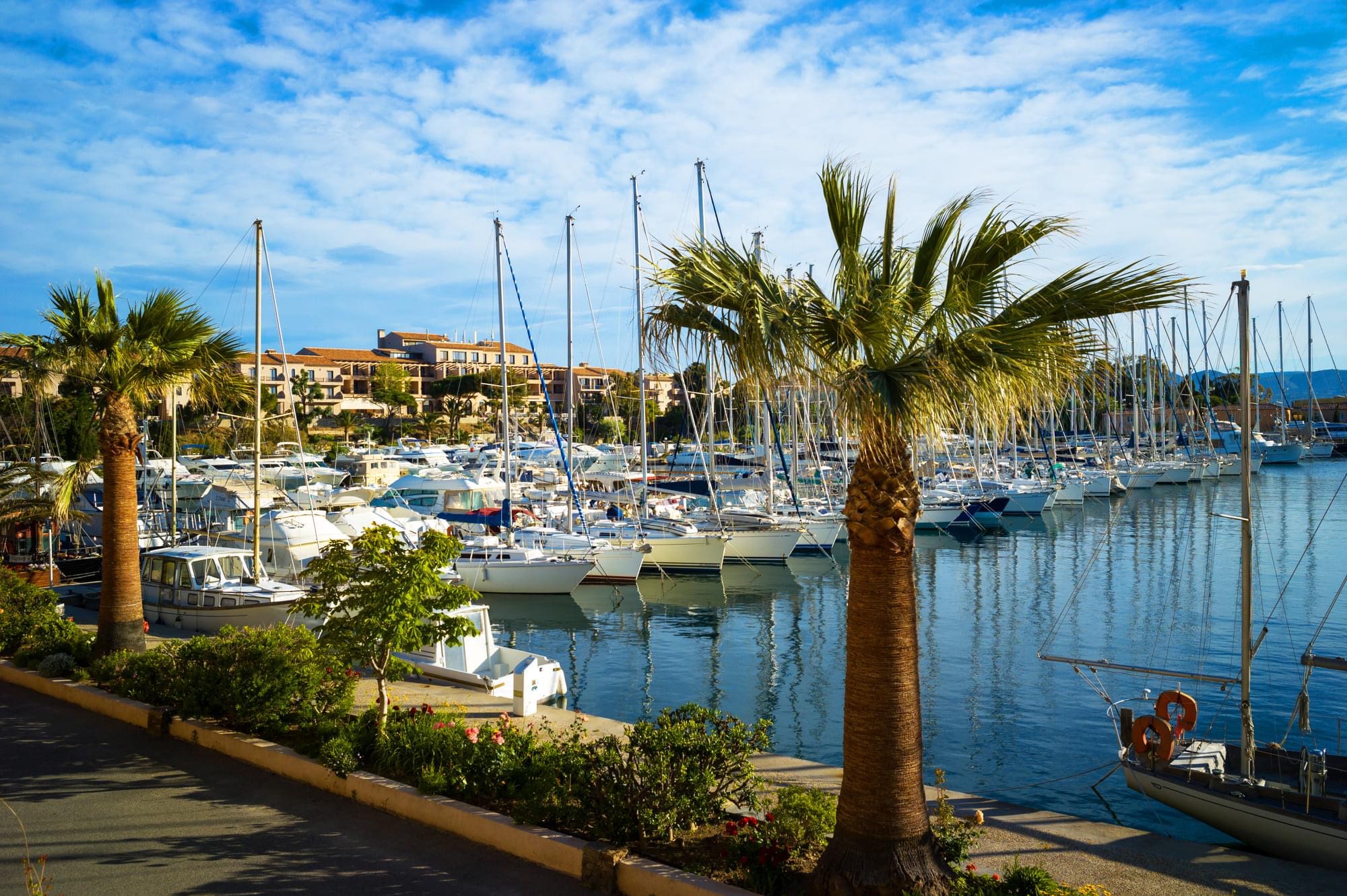 Vue du port de l'île des Embiez avec des palmiers le long du quai et des navires de plaisances amarrés sous un ciel bleu