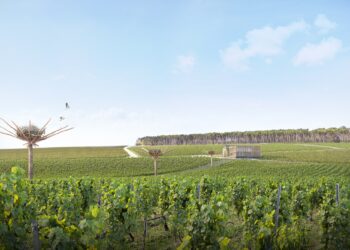 Vue des vignes et de la Maison Ruinart dans la région de Reims, avec les œuvres de land art en forme de nichoirs géants de l'artiste NILS UDO