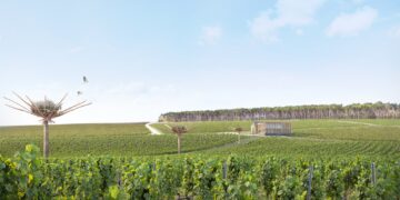 Vue des vignes et de la Maison Ruinart dans la région de Reims, avec les œuvres de land art en forme de nichoirs géants de l'artiste NILS UDO
