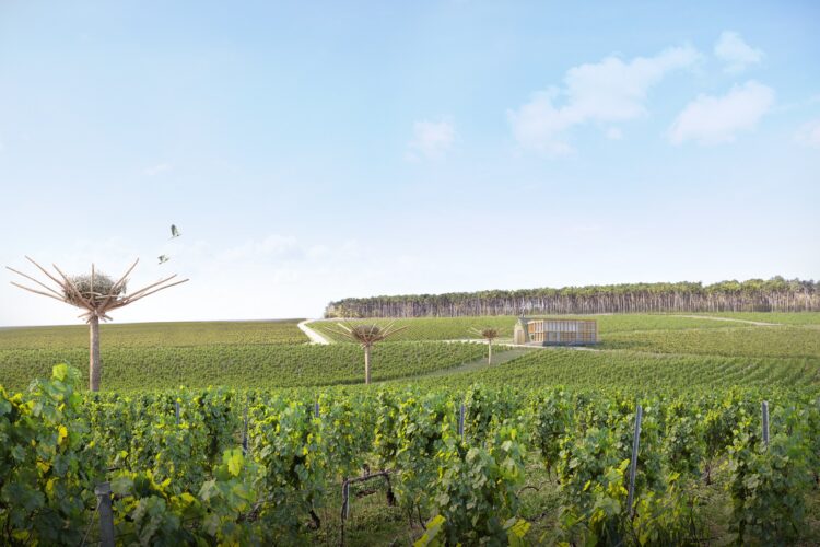 Vue des vignes et de la Maison Ruinart dans la région de Reims, avec les œuvres de land art en forme de nichoirs géants de l'artiste NILS UDO