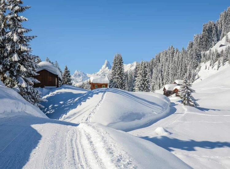 Un chemin de randonnée neigeux entouré de sapins, qui mène à de petits chalets en bois typiques de l'Autriche