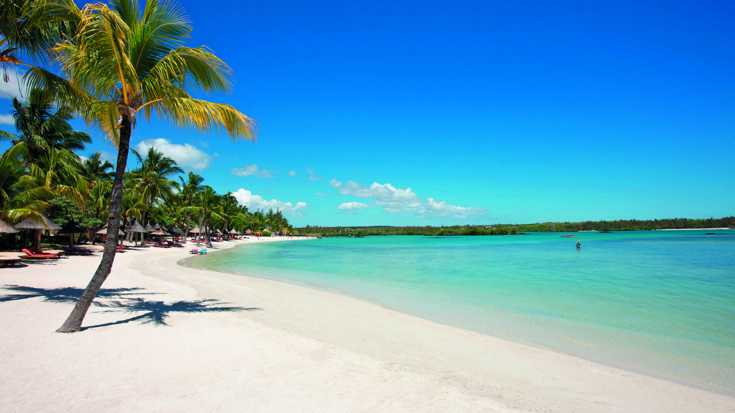 Plage de Maurice