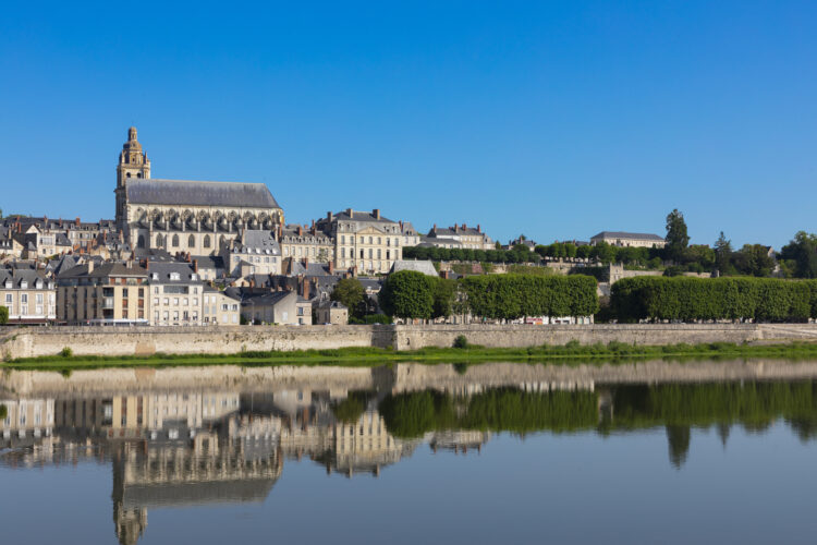 Hôtel Fleur de Loire