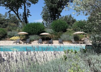 Vue de la piscine entourée de lavandes du Château de Villiers-le-Mahieu