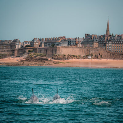 La ville de St Malo, un site incontournable de Bretagne