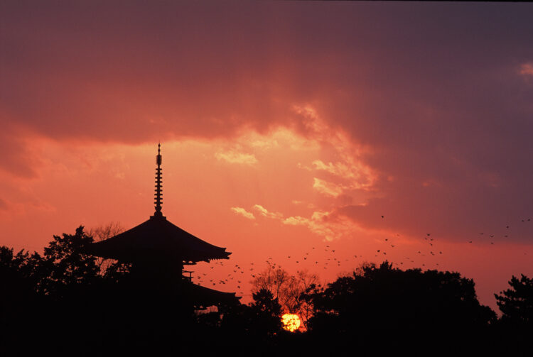 Découvrir le Japon à l'automne