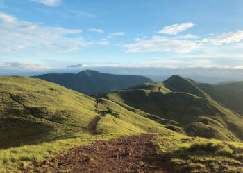 paradis vert du costa rica