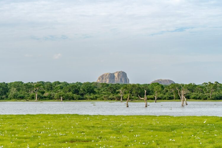 Les plus belles croisières afrique australe et safaris