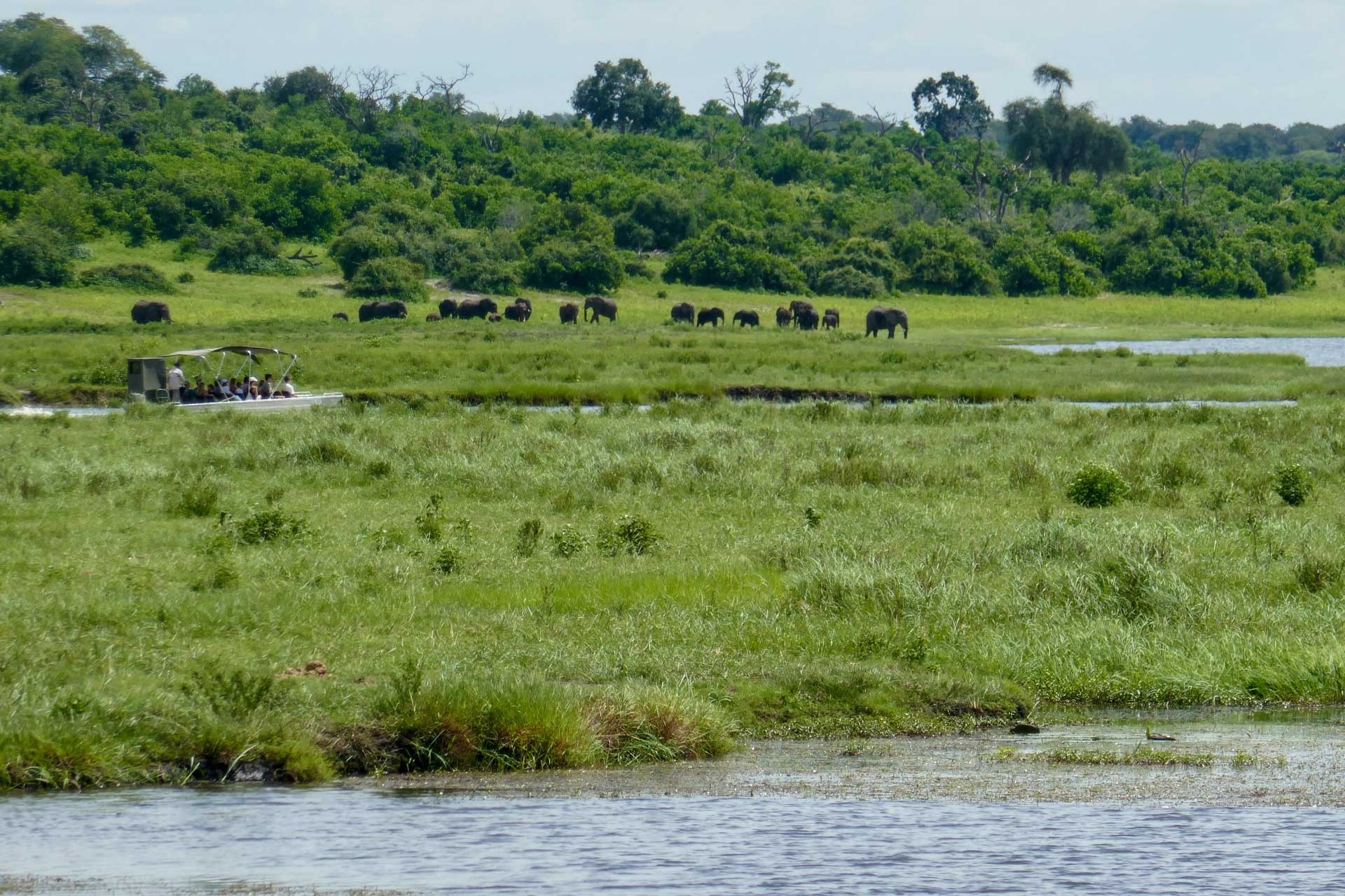 Les plus belles croisières afrique australe et safaris