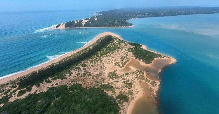 Les plus belles croisières afrique australe et safaris