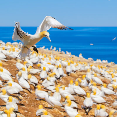 decouvrir le quebec maritime