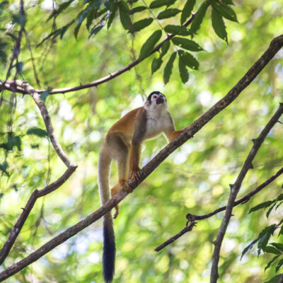 découvrir le Costa Rica