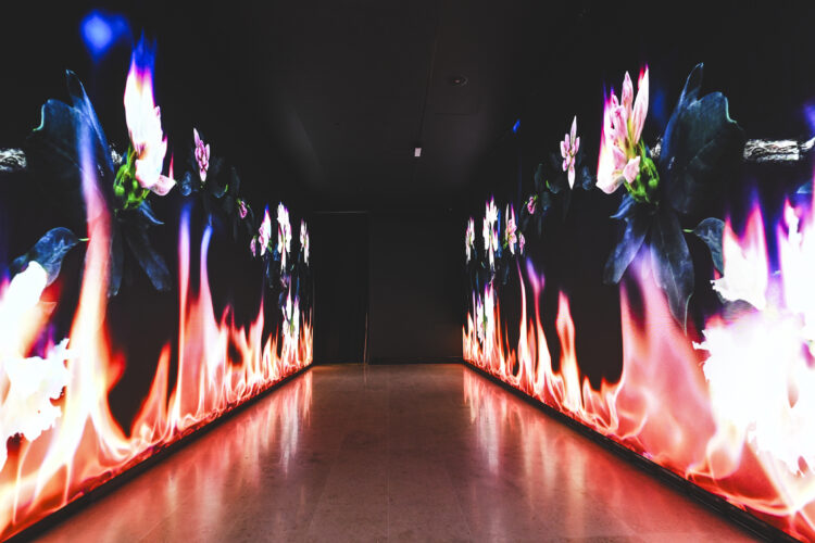 Centre d’Art Hortensia Herrero à Valence