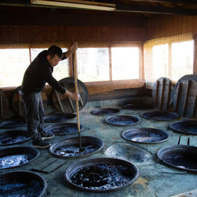 Découvrir la Prefecture de Fukuoka