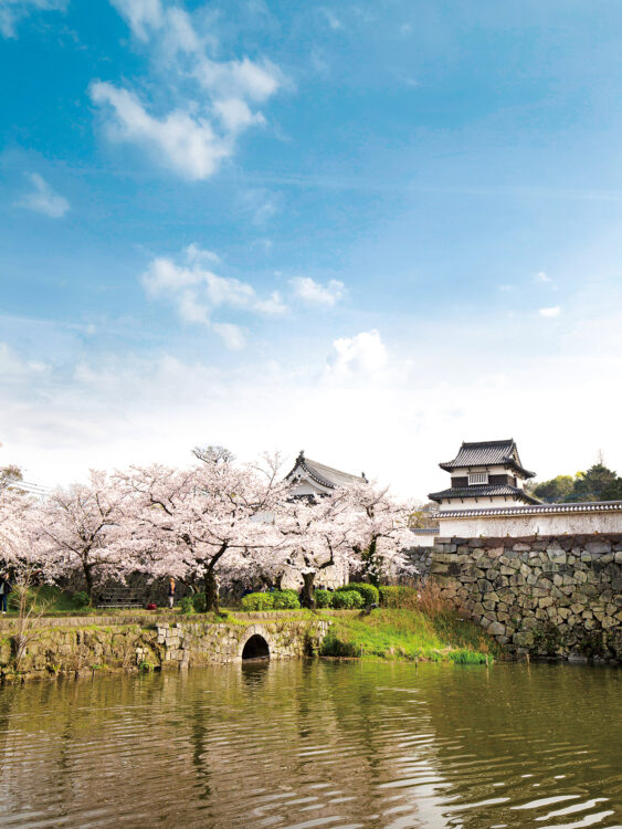 Découvrir la Prefecture de Fukuoka