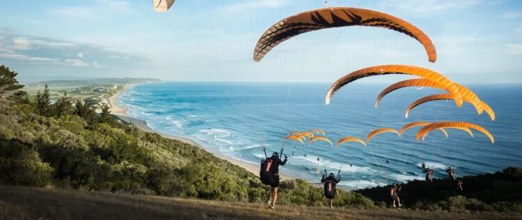 visiter l'Afrique du Sud